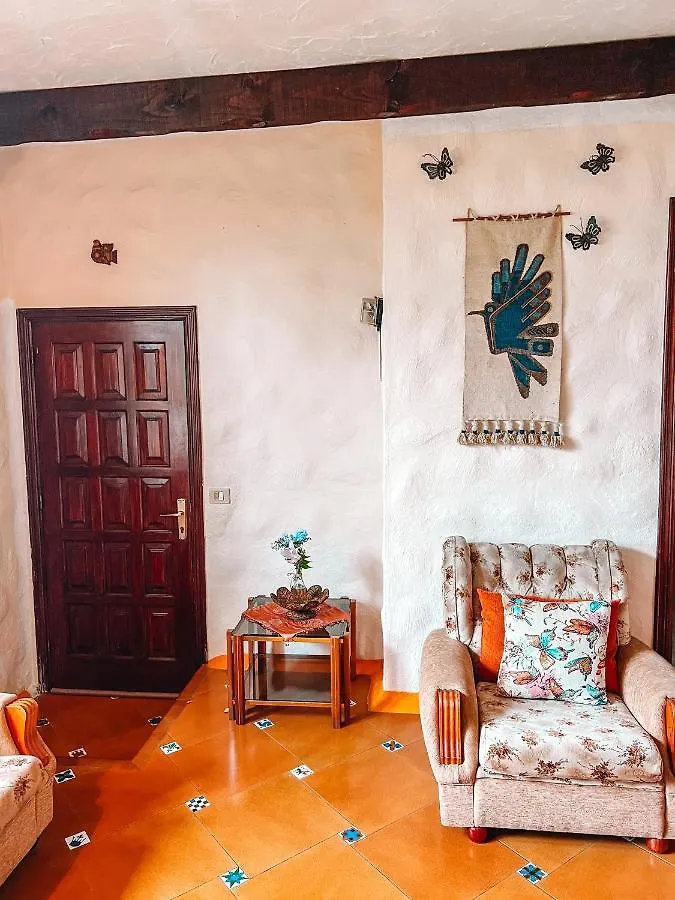 Canarian Cottage With Terrace Surrounded By Garden - Alisios La Orotava Holiday home