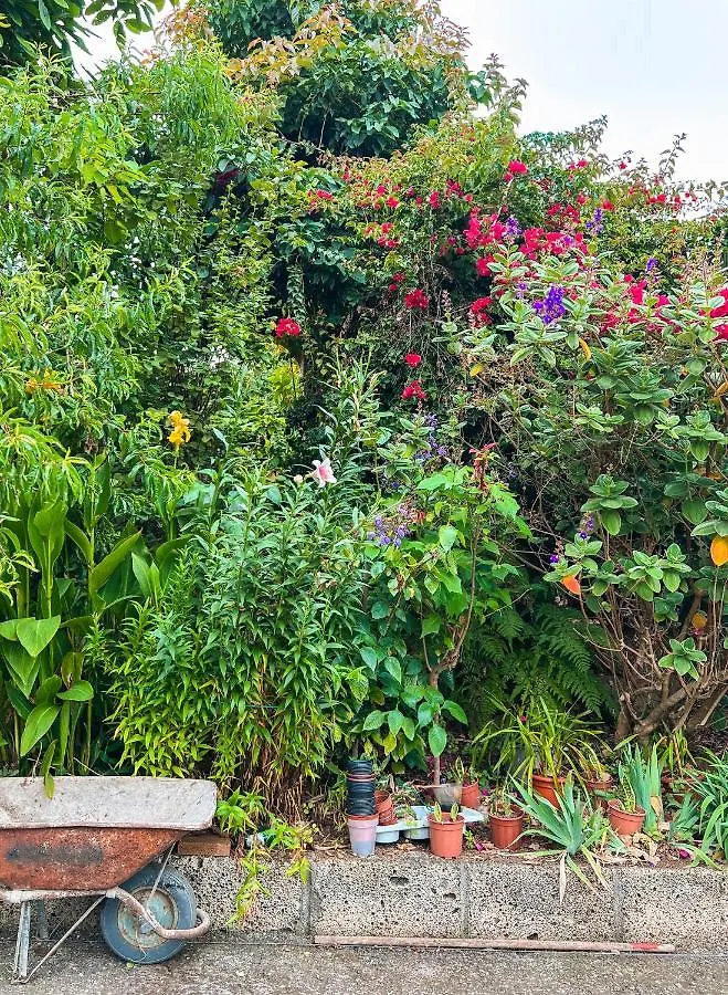 Canarian Cottage With Terrace Surrounded By Garden - Alisios La Orotava