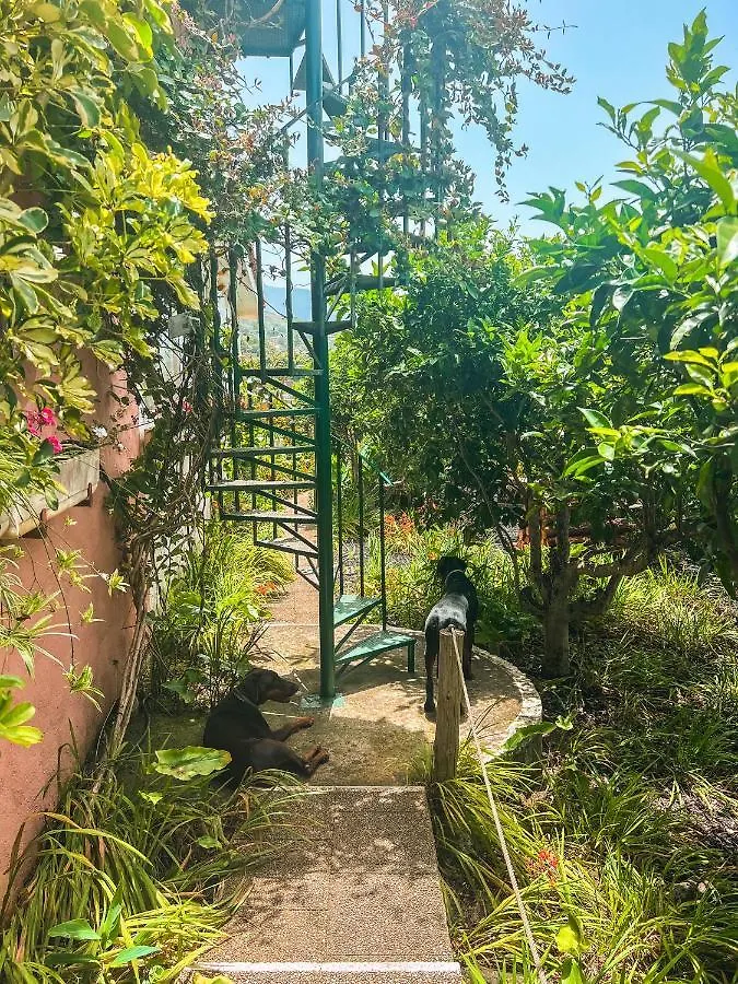 Holiday home Canarian Cottage With Terrace Surrounded By Garden - Alisios La Orotava Spain