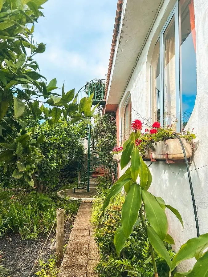 Canarian Cottage With Terrace Surrounded By Garden - Alisios La Orotava